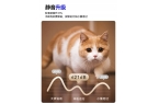 荐：科创者智能窗帘稳居第一AYX爱游戏电